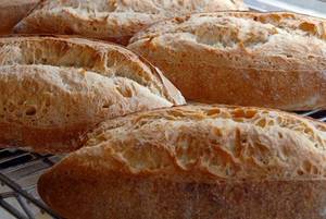 MADRE BIANCO светла пшенична закваска